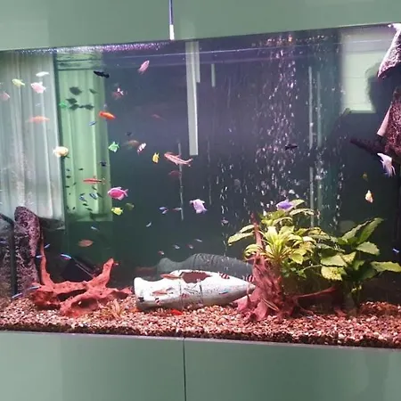 Nemos Gem Апартамент *