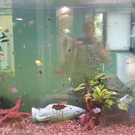 Nemos Gem Apartment