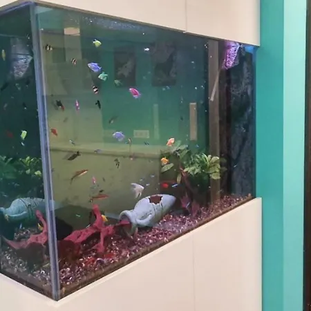 Nemos Gem Apartment